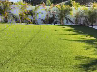 Bruce H.'s Lawn Mowing Service service result