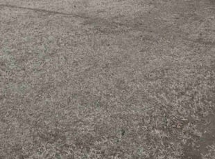 Cleanups by Dakota Lally for Nick P. in Oklahoma City, OK