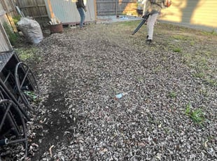 Leaf Removal by Jeffrey Johnson for Cassandra H. in Hampton, VA