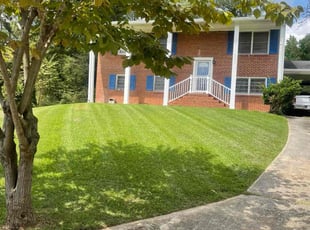 Bobby Z.'s Lawn Mowing Service service result