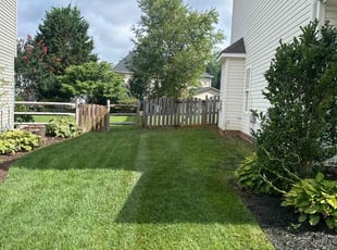Jake K.'s Yard Cutting service result