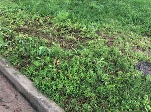 Cleanups by Paul Handley for Megan B. in Tulsa, OK