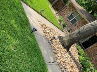Keokuk S.'s Lawn Mowing service result