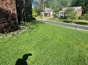 Charmaigne H.'s Grass Cutting service result