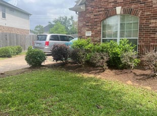 Weeding by Nicole Ross for LeighAnn S. in Deer Park, TX