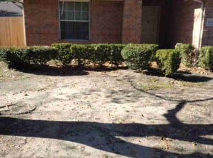 Bush Trimming by Randy Jordan for Peggy B. in Conroe, TX