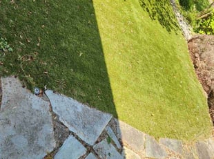 Landscaping by Jesus Padilla for Dae K. in Redmond, WA