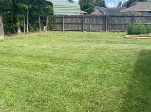 Chiquita G.'s Lawn Service service result
