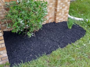 Cleanups by Frank Koller for Tim T. in Indianapolis, IN