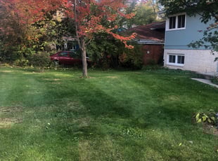 Cleanups by Mitch Melum for Sean K. in Monona, WI