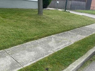Marie T.'s Lawn Service service result