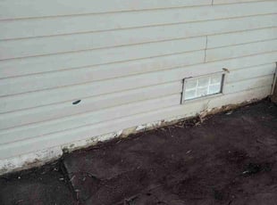 Leaf Removal by Tierra Young for Cheryl C. in Essex, MD