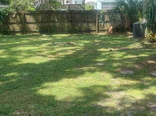 Pat C.'s Lawn Care service result