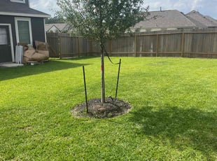 Shawn W.'s Grass Cutting service result
