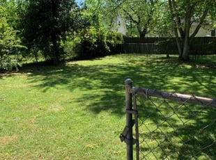 Michelle L.'s Lawn Mowing Service service result