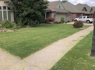 Asha W.'s Yard Cutting service result