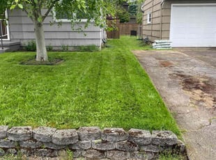 Lacreia B.'s Lawn Care service result