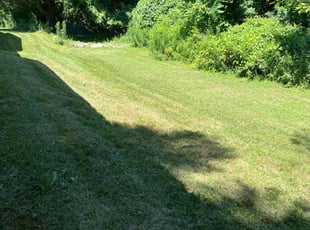 Bradley R.'s Lawn Mowing service result