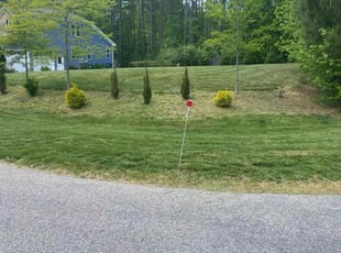 Shirley P.'s Lawn Service service result