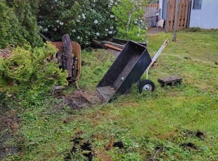 Leaf Removal by Jonathan Whisenant for Ardis S. in Vancouver, WA