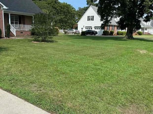 Samuel J.'s Lawn Mowing Service service result