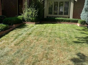 Bush Trimming by Aaron Fresquez for Andrew D. in Greenwood Village, CO