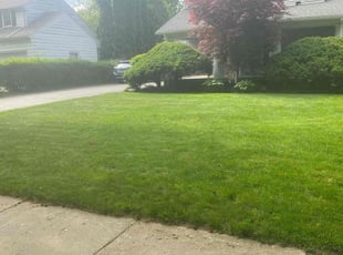 Jennifer B.'s Grass Cutting service result