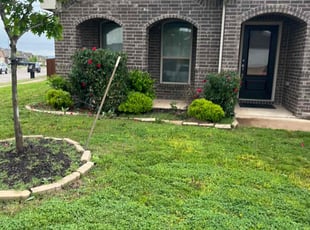 Bush Trimming by Cameron Mitchell for LaVonda F. in Fort Worth, TX