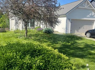 Cleanups by Sedrick Wesley for Merritt W. in Kansas City, MO