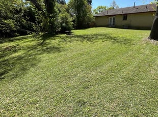 Jasmine A.'s Lawn Service service result
