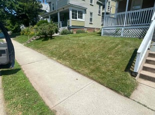 Arwen T.'s Lawn Mowing Service service result