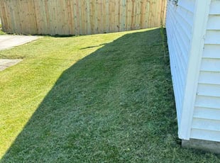 Jodie V.'s Lawn Service service result