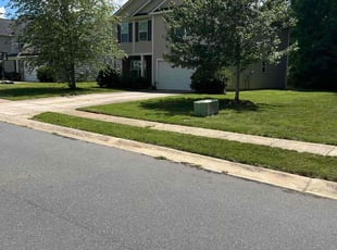 ALAN M.'s Lawn Service service result