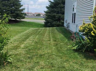 Jill J.'s Yard Cutting service result