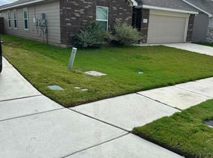 Buddy D.'s Lawn Maintenance service result