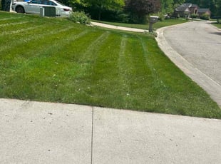 Kelly O.'s Yard Cutting service result