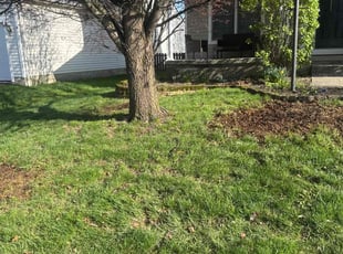 Leaf Removal by Cierra Humane for Tahira G. in Pickerington, OH