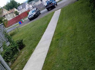 Monica R.'s Lawn Mowing service result