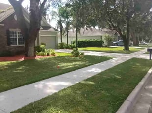 Tyler E.'s Lawn Maintenance service result