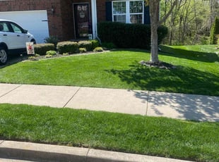 Larry B.'s Lawn Mowing service result