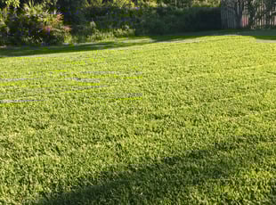 Kimberly V.'s Lawn Mowing Service service result
