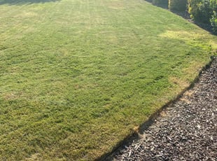 Michelle L.'s Lawn Care service result