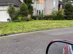 Leann L.'s Lawn Service service result