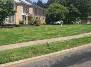 Angela W.'s Lawn Maintenance service result