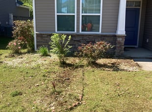 Bush Trimming by Leon Brown for Alexander m. in Moncks Corner, SC