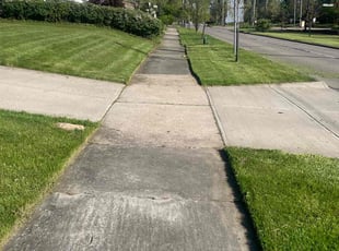 Tanshanika M.'s Lawn Care service result