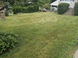 Cindy T.'s Lawn Mowing service result