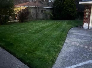 Sandra A.'s Lawn Mowing service result