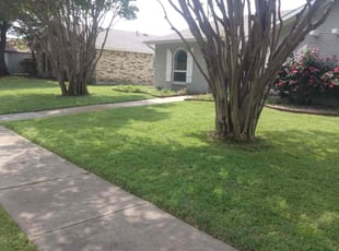 Moises V.'s Yard Cutting service result