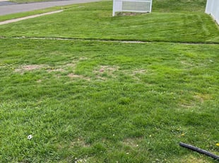 Geneva M.'s Lawn Service service result